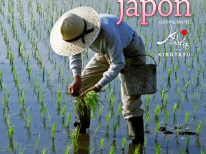 defaut 1. Un petit air du Japon - couverture