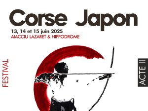defaut 1. corsejapon25 - couverture