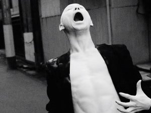 Taiki Iwamoto