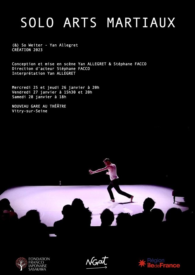defaut 1. solo arts martiaux - couverture