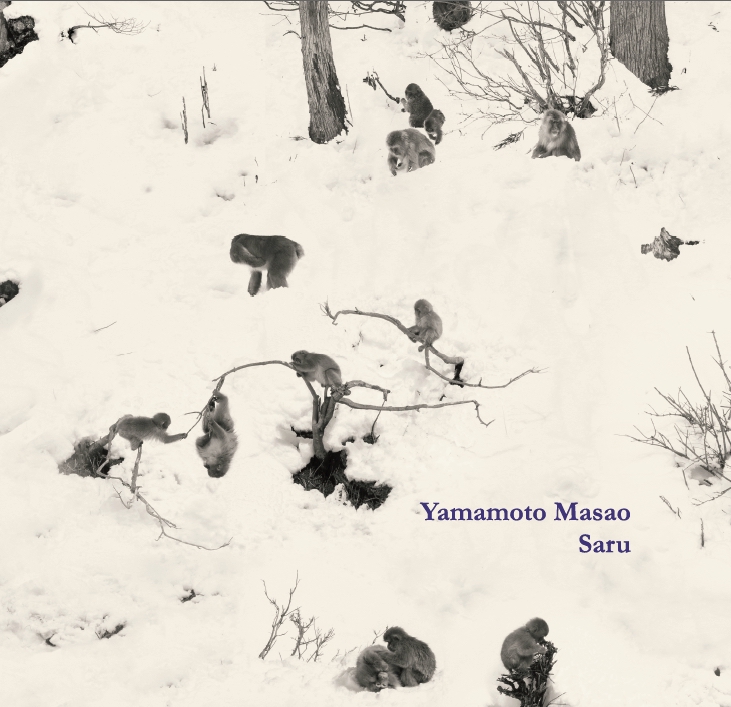 defaut 1. saru - couverture