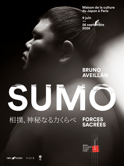 defaut 1. sumo - couverture