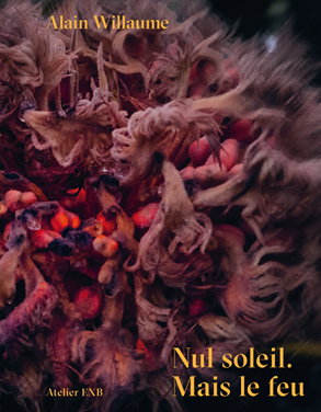 defaut 1. Willaume - couverture