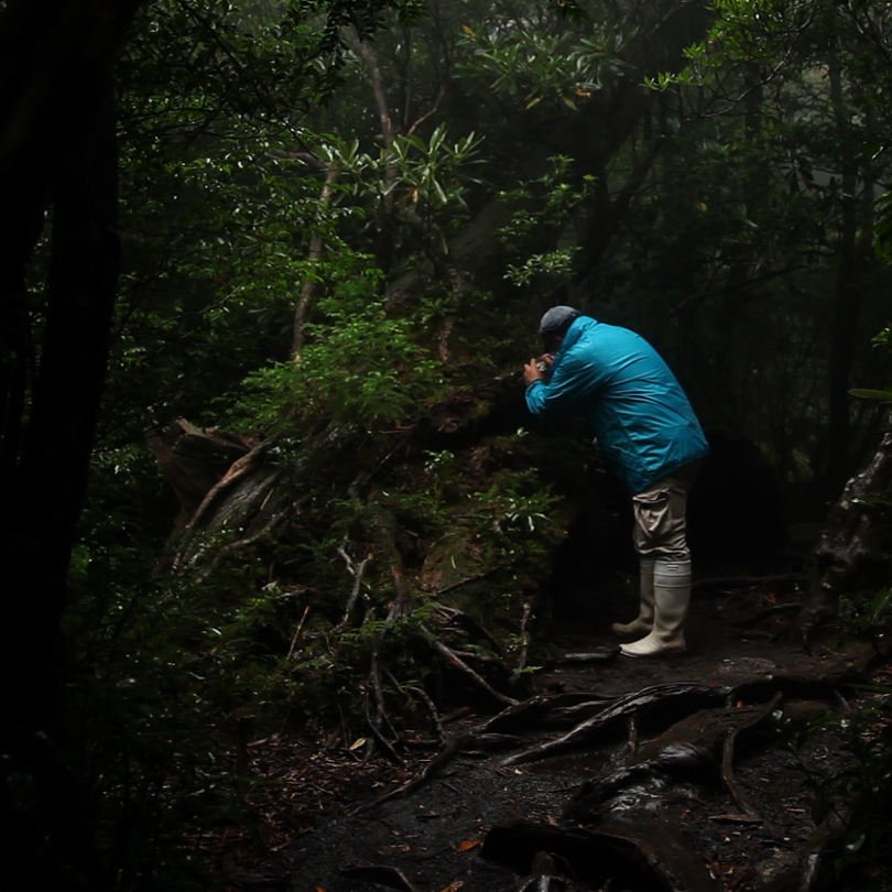 Aide à la réalisation du film « Holospecia » de Damien Faure
