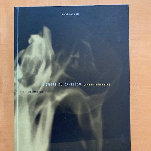 Soutien à l'édition du livre « L'ombre du caméléon (trash mimésis) » de François Roche