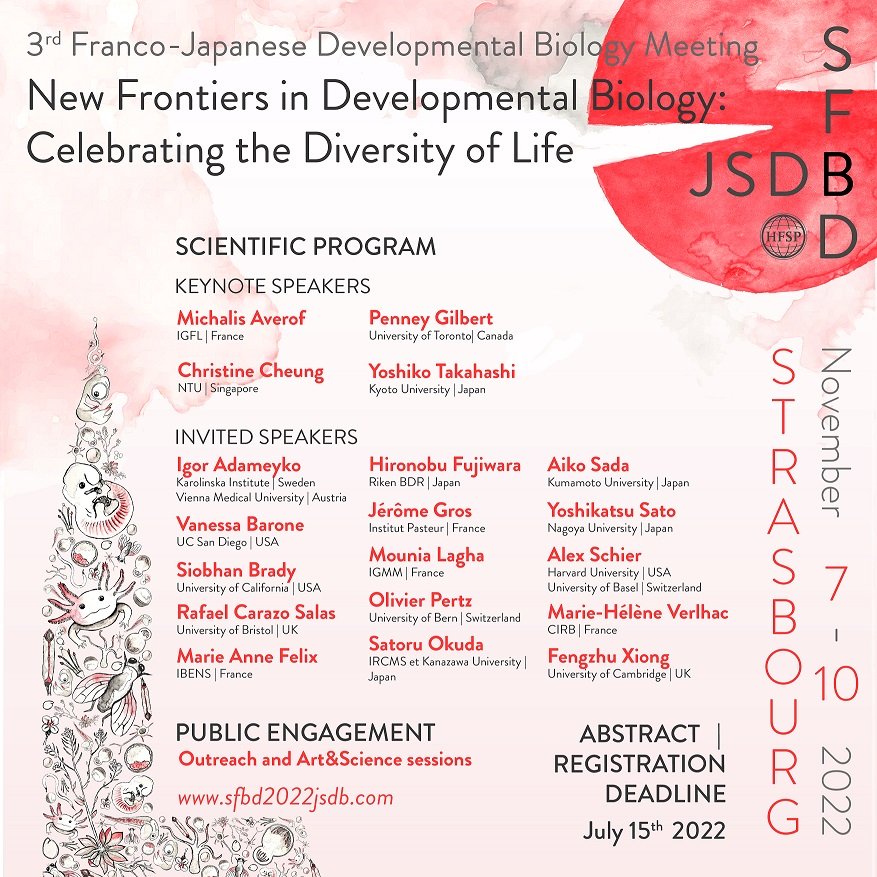 3ème rencontre franco-japonaise : « New Frontiers in Developmental Biology - Celebrating the Diversity of Life »