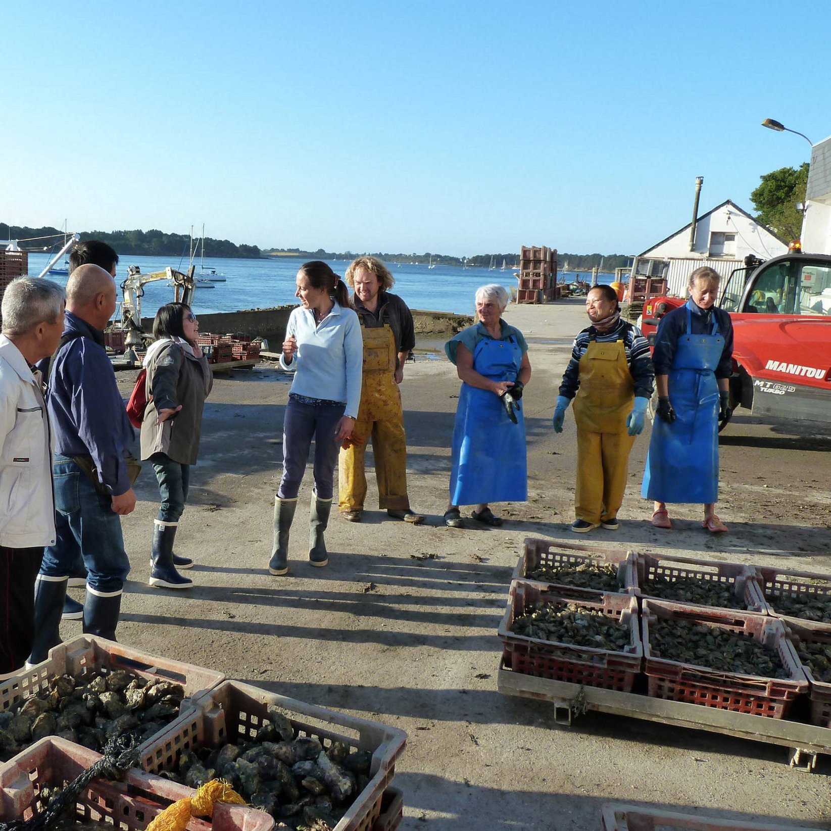 Aide à la venue en Bretagne de 4 conchyliculteurs japonais