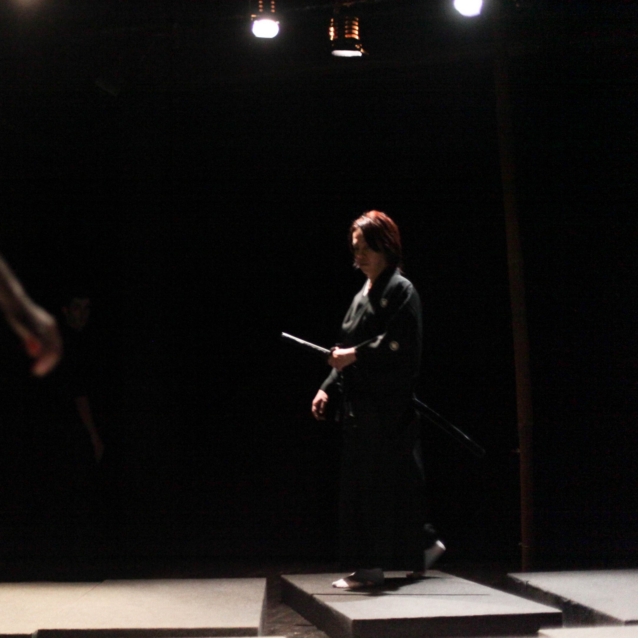 « Arts du combat/arts de la scène » par Yan Allegret