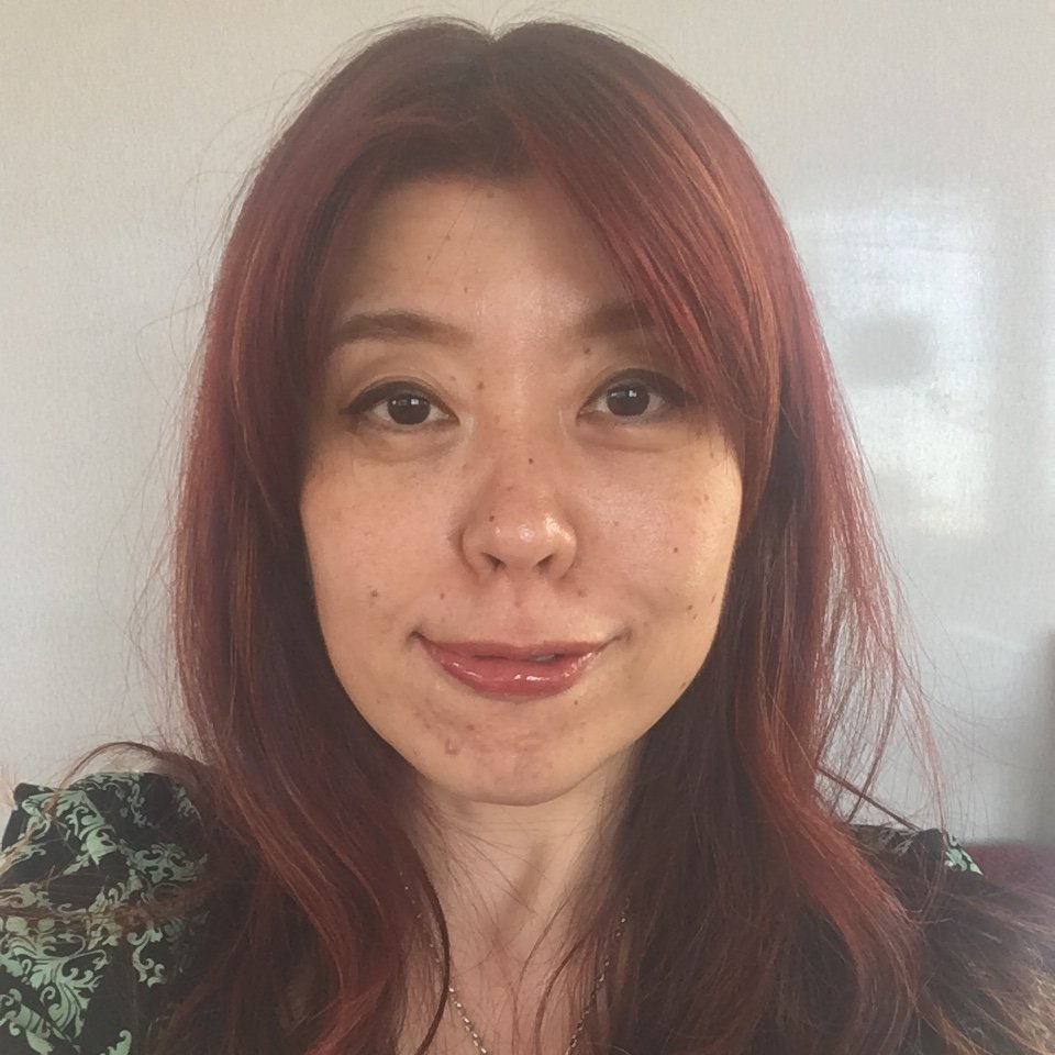 日仏比較研究 社会的養育における親子支援のあり方