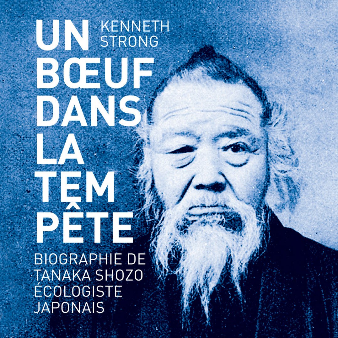 Soutien à l'édition de « Un boeuf dans la tempête »