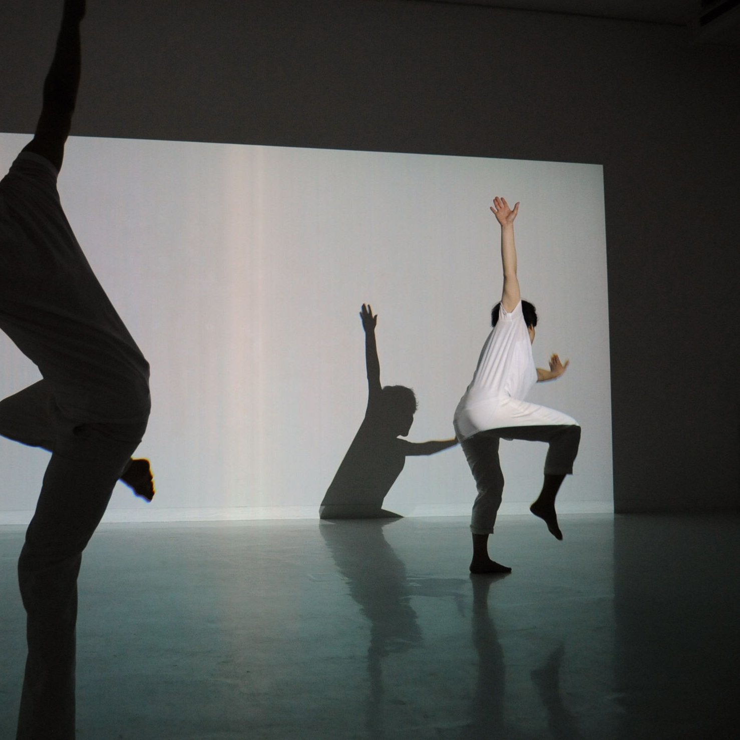 Weightless Days Projet pour 2 danseurs et 2 plasticiens
