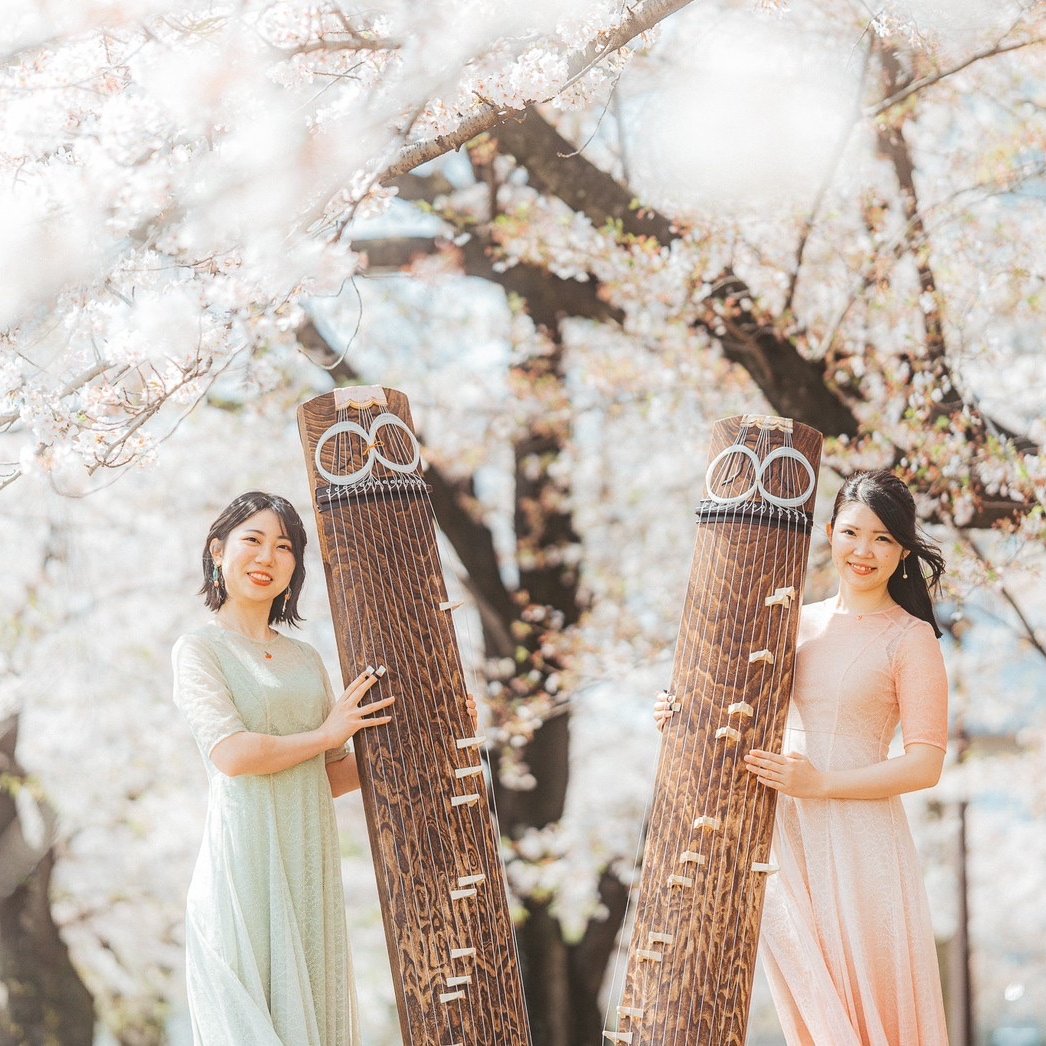 「箏」が紡ぐ文化交流のハーモニー