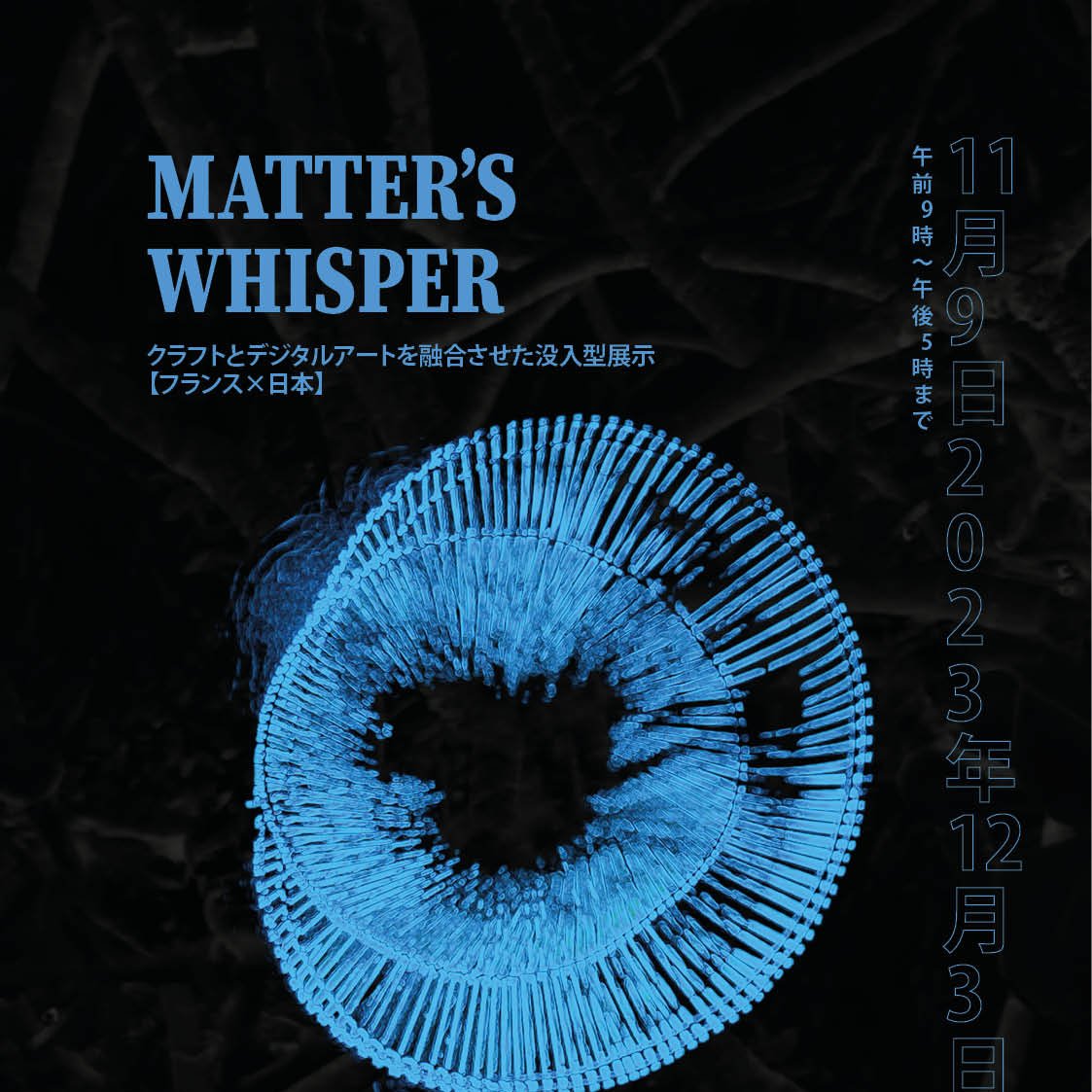 Soutien projet « Matter's whisper » de Nina Fradet et Xavier Prévot
