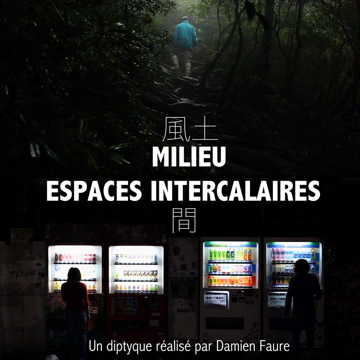 Sortie au cinéma des films ESPACES INTERCALAIRES et MILIEU réalisés par Damien FAURE