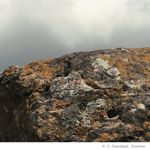 Passe-Voix｜Carine Guimbard