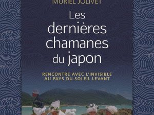 defaut 1. jolivet - couverture