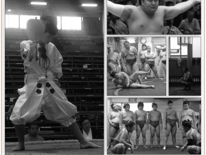 defaut 1. Sumo - couverture