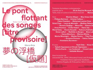 defaut 1. CNSAD - couverture