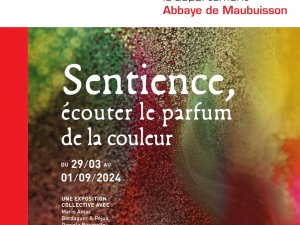 defaut 1. sentience - couverture