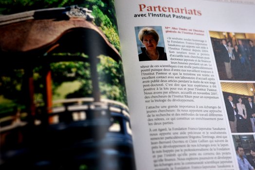 Rapport de 15 ans d'activité 1990|2005